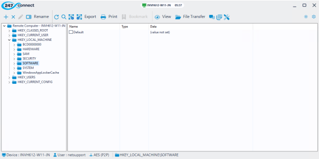Registry Editor window showing a key selected on a remote device, with registry values listed on the right.